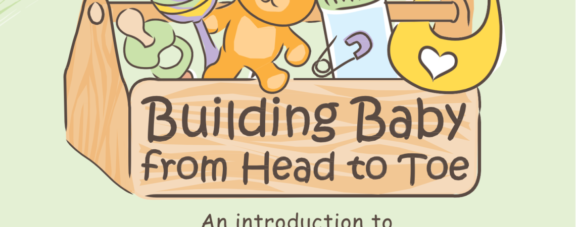 Buildings Babies from Head to Toe